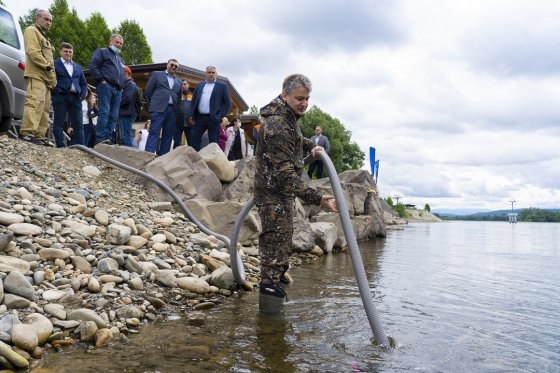 Распадская угольная компания выпустит в сибирские реки 80 тыс. мальков