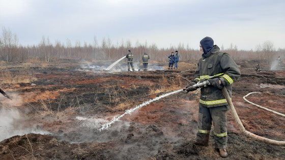 Тлеющая репутация Солнечного Тлеющая репутация Солнечного