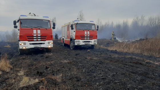 Тлеющая репутация Солнечного Тлеющая репутация Солнечного