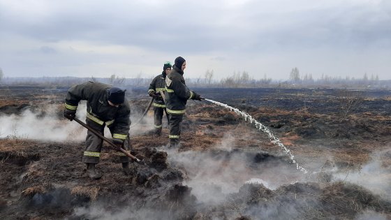 Тлеющая репутация Солнечного Тлеющая репутация Солнечного