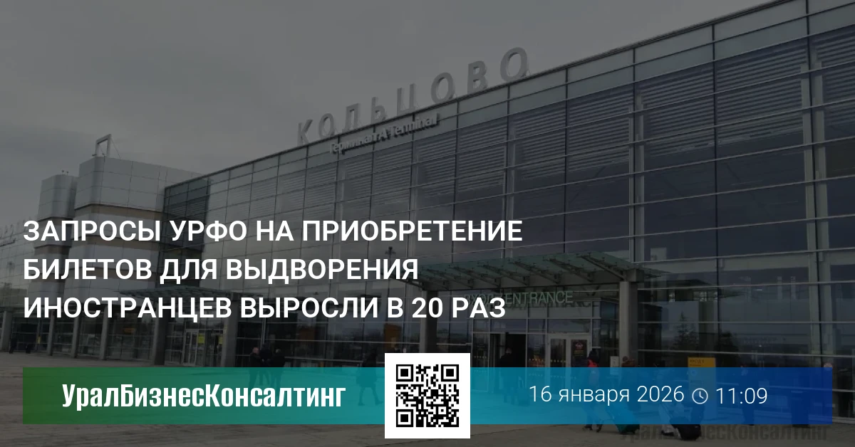 Запросы УрФО на приобретение билетов для выдворения иностранцев выросли в 20 раз