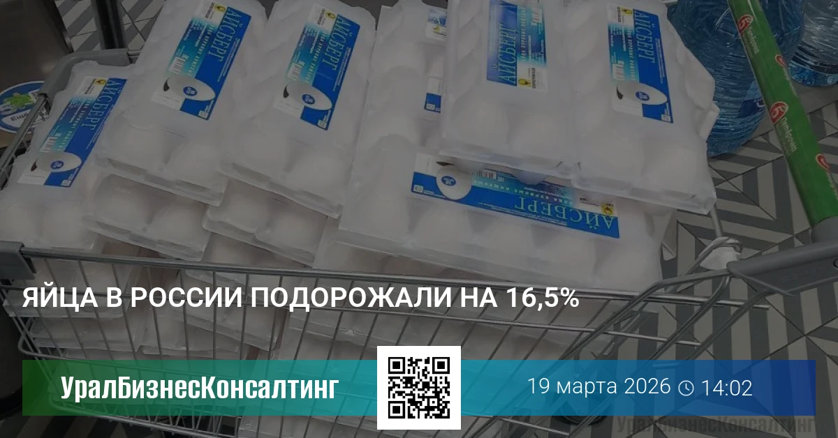 Яйца в России подорожали на 16,5%