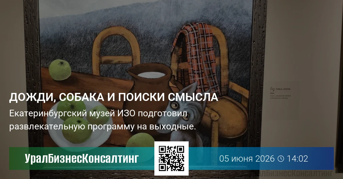 Дожди, собака и поиски смысла
