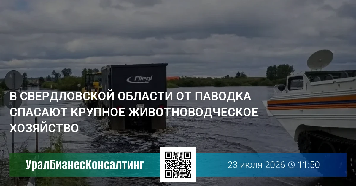 В Свердловской области от паводка спасают крупное животноводческое хозяйство