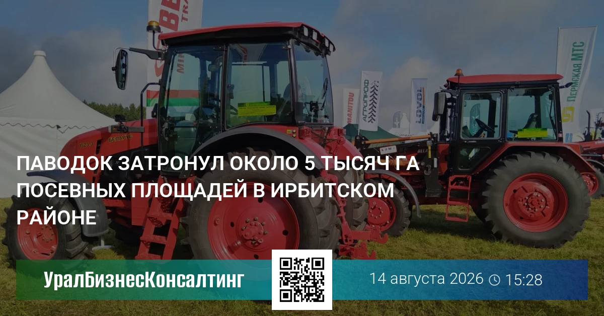 Паводок затронул около 5 тысяч га посевных площадей в Ирбитском районе