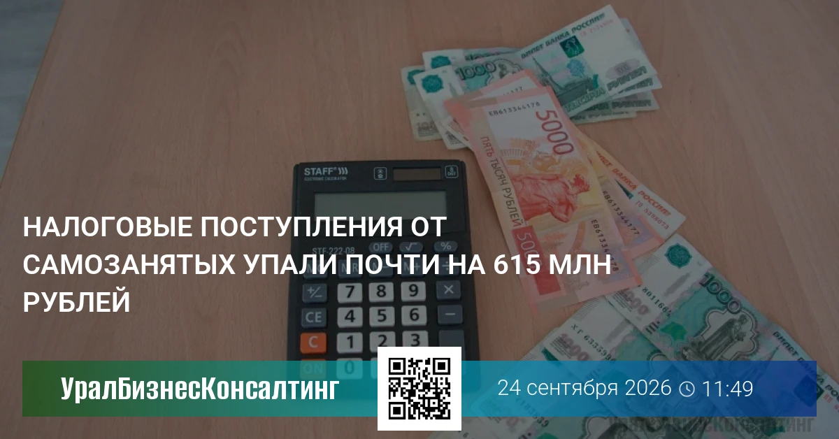Налоговые поступления от самозанятых упали почти на 615 млн рублей