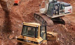 Застройщиков ТРЦ «Алатырь» и «Комсомолл» обвинили в уничтожении зеленых насаждений Екатеринбурга.(Фотография предоставлена сайтом www.morguefile.com)