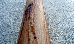 Москвичи подвергнут уральское ЖКХ сертификации