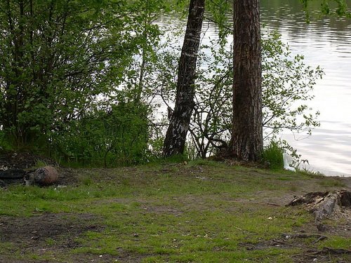 Фотография Андреевой А.О.