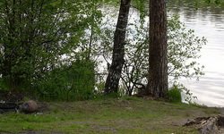 Природные парки готовы к расхищению. Фотография Андреевой А.О.