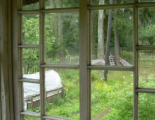 Фотография Андреевой А.О. Фотография Андреевой А.О.