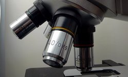 Столичные экономисты дали шанс свердловским инноваторам. Фотография предоставлена сайтом www.morguefile.com