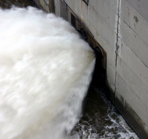 Фотография предоставлена сайтом www.morguefile.com