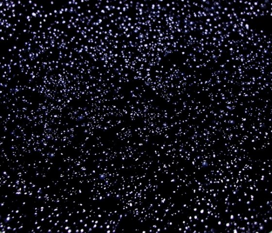 Фотография предоставлена сайтом www.morguefile.com