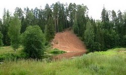 Бизнес-план МУГИСО: избавиться от ГУПов и торговать землей