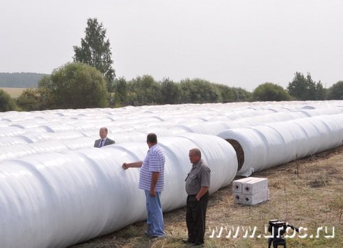 Упакованное сенаж хранится в течение всей зимы прямо под открытым небом
