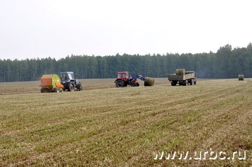Свердловская область готова заработать на засухе