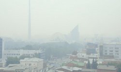 Стихийное бедствие, от которого уже месяц страдают москвичи, добралось до Екатеринбурга.