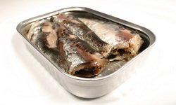 Роспотребнадзор рекомендует свердловчанам отказаться от консервов. Фотография предоставлена сайтом www.morguefile.com