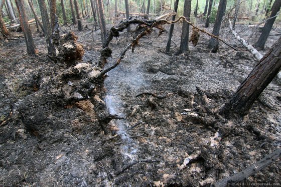 Фотография взята с сайта www.nucl0id.livejournal.com