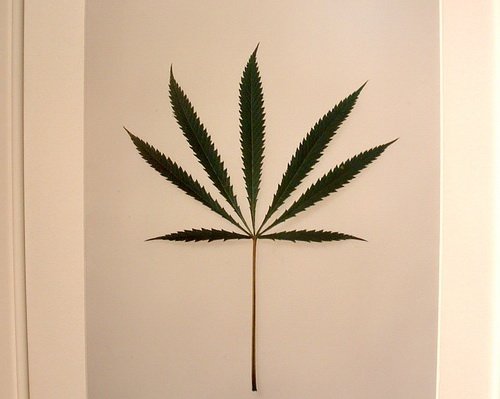 Фотография предоставлена сайтом www.morguefile.com Фотография предоставлена сайтом www.morguefile.com