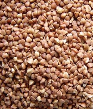 Фотография предоставлена сайтом http://www.morguefile.com