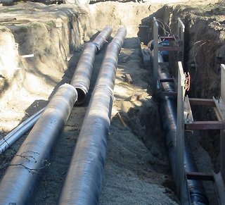 Фотография предоставлена сайтом www.morguefile.com