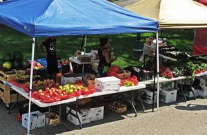 Фотография предоставлена сайтом www.morguefile.com