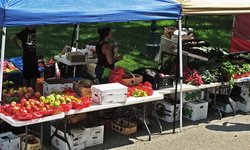 Бороться с ценами на продукты на Урале будут с помощью рынка. Фотография предоставлена сайтом www.morguefile.com