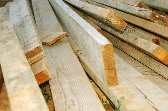 Фотография предоставлена сайтом www.morguefile.com Фотография предоставлена сайтом www.morguefile.com