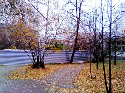 Фотографию предоставил Дмитрий Москвин Фотографию предоставил Дмитрий Москвин