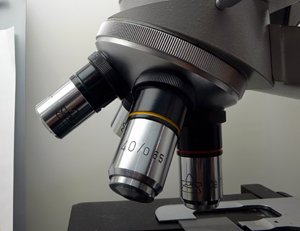 Фотография предоставлена сайтом morguefile.com