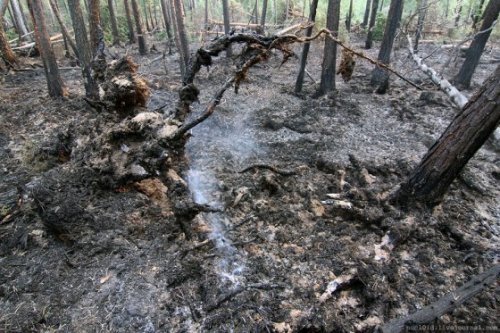 Летний отпуск Александру Мишарину, как и многим российским чиновникам, пришлось провести «на пожарах» Летний отпуск Александру Мишарину, как и многим российским чиновникам, пришлось провести «на пожарах»