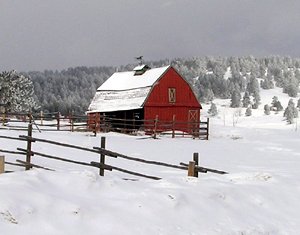 Фотография предоставлена сайтом morguefile.com