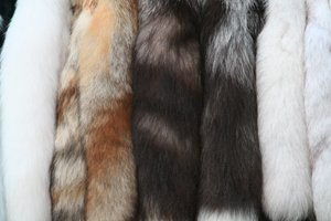 Фотография предоставлена сайтом morguefile.com