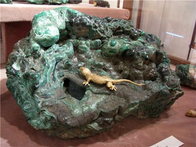 Фотография вязта с сайта http://community.livejournal.com/museums_ru/68050.html