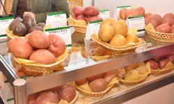 Свердловские аграрии готовятся вернуться в кризис