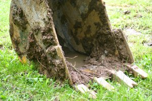 Фотография предоставлена сайтом morguefile.com