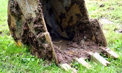 Застройка сада Вайнера: Симфони Холл против гостиницы. Фотография предоставлена сайтом morguefile.com