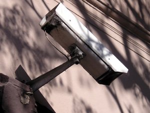 Фотография предоставлена сайтом morguefile.com