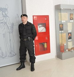 Лицензирование ЧОПов: способ навести порядок на рынке или возможность пополнить казну?