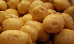 Продразверстка по-свердловски. Фотография предоставлена сайтом morguefile.com