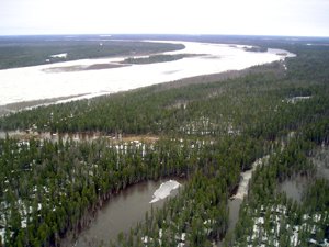 Фотография предоставлена сайтом http://www.cupp.ru