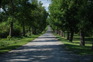 Фотография предоставлена сайтом http://www.morguefile.com