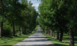 Под корты и заправки: защита с земель парков Екатеринбурга снята Фотография предоставлена сайтом www.morguefile.com