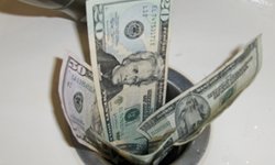 Фотография предоставлена сайтом morguefile.com