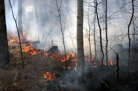 Фотография предоставлена http://alshevskix.livejournal.com