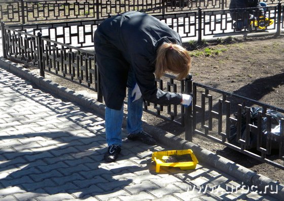 Центру Екатеринбурга добавили зелени
