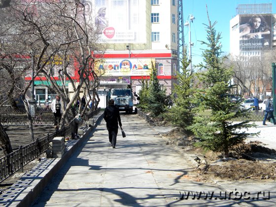 Центру Екатеринбурга добавили зелени
