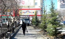 Центру Екатеринбурга добавили зелени